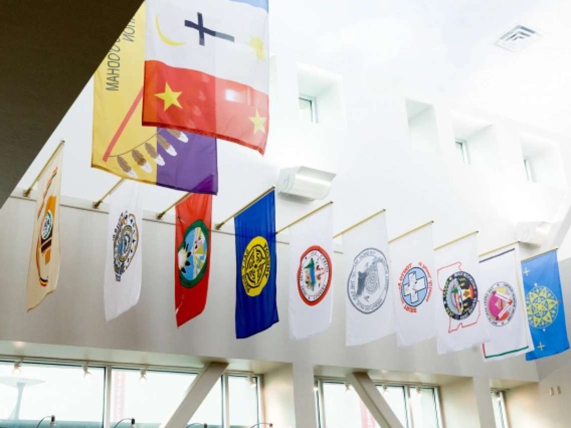 Flags in the bookstore